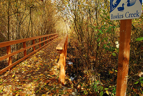 Bowker Creek | UVic Community Green Map